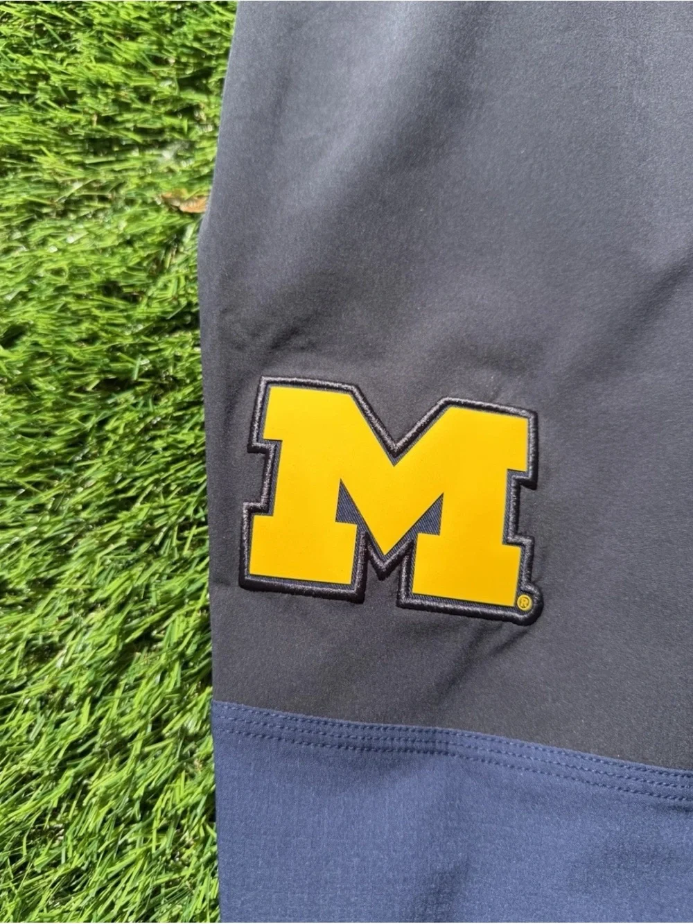 Jordan Brand Nike Michigan Wolverines PE Sideline Pants 2025 IH9496-419 Mens L